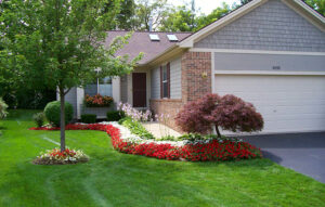 residential lawn care services