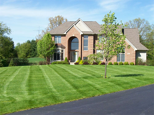 Residential Lawn Care | McIntosh 