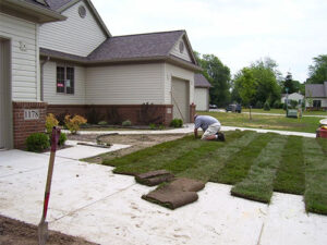 sod seeding